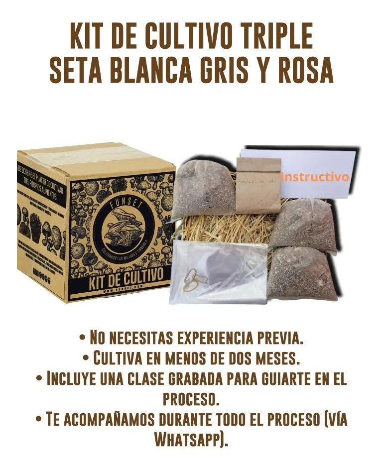 Kit de Cultivo Hongo Seta Comestible para Casa (Blanca, Gris y Rosa)