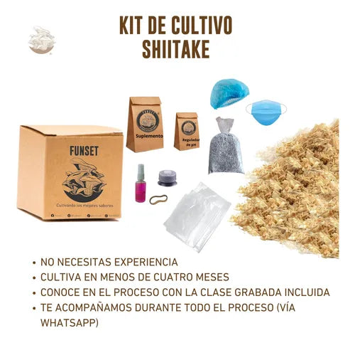 Kit de Cultivo Hongo Shiitake para Casa