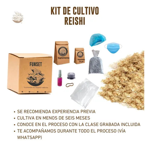 Kit de Cultivo Hongo Reishi para Casa