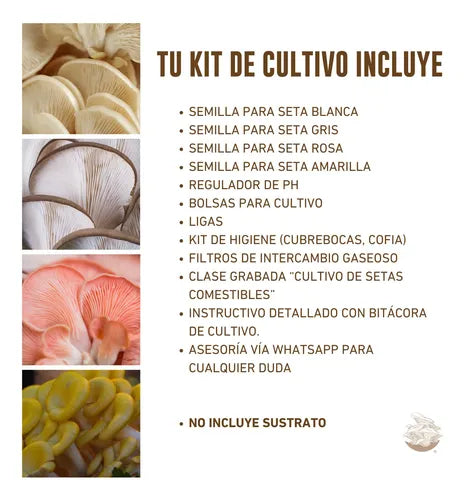 Kit de Cultivo Hongo Seta Premium (Blanco, Gris, Rosa, Amarillo)