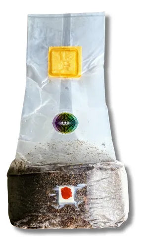 Bolsa Inyectable Esterilizada para Cultivo de Hongos ya inoculada