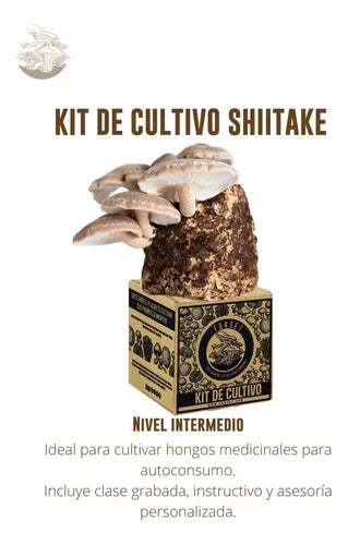 Kit de Cultivo Hongo Shiitake para Casa